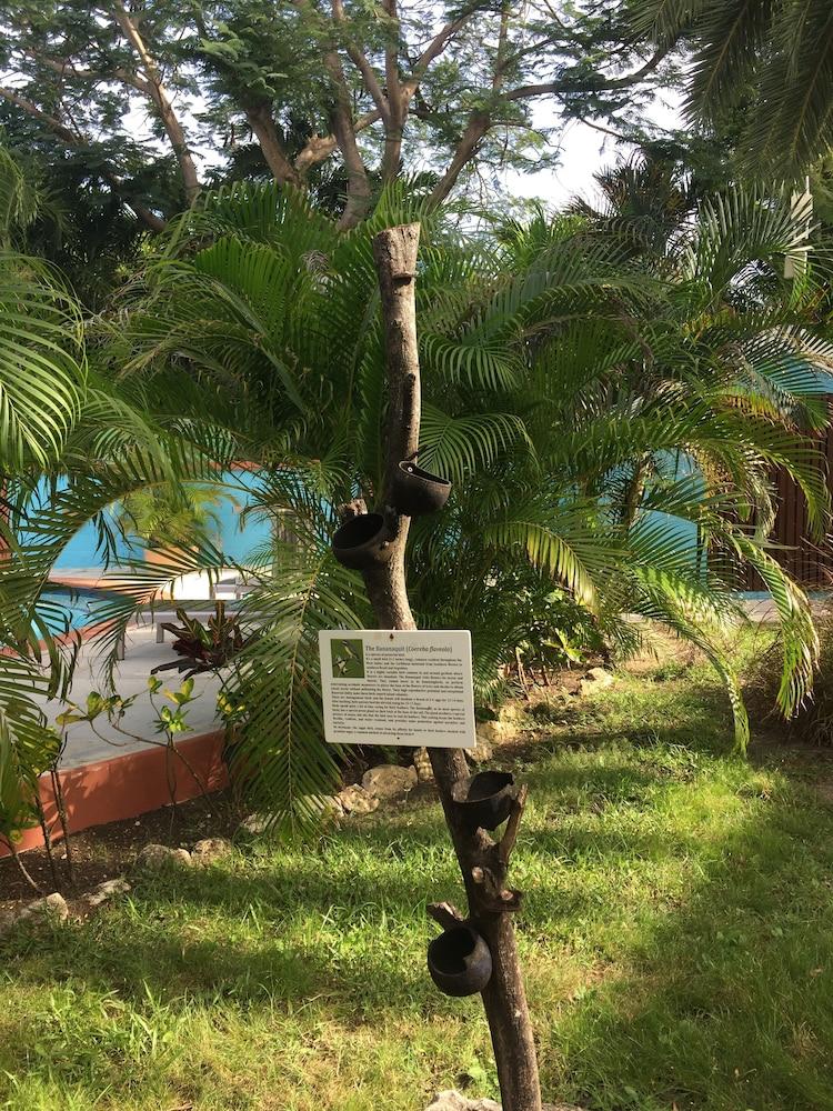 Buccaneer Beach Club Dickenson Bay Luaran gambar