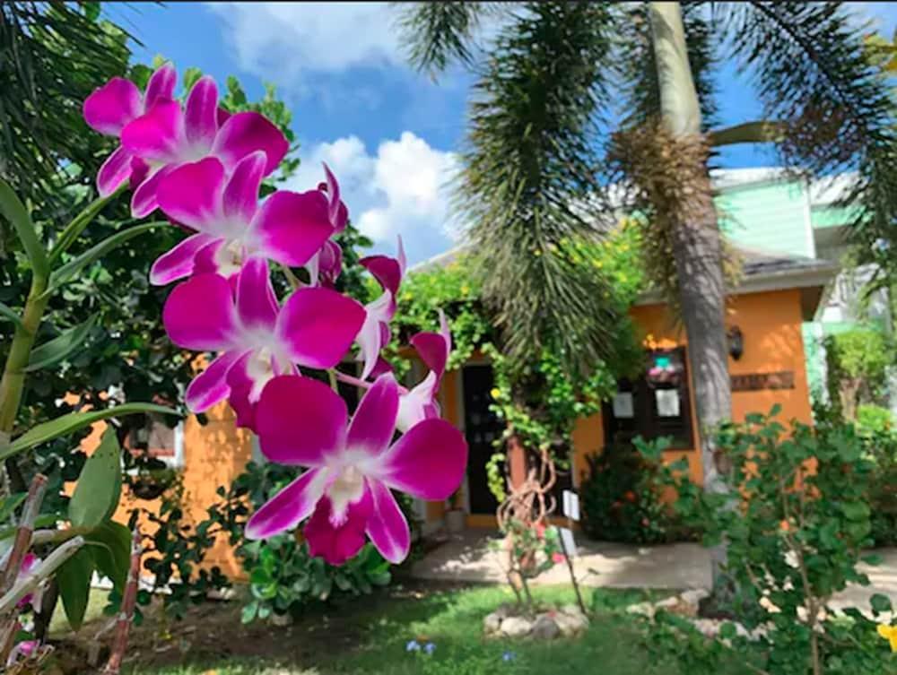 Buccaneer Beach Club Dickenson Bay Luaran gambar
