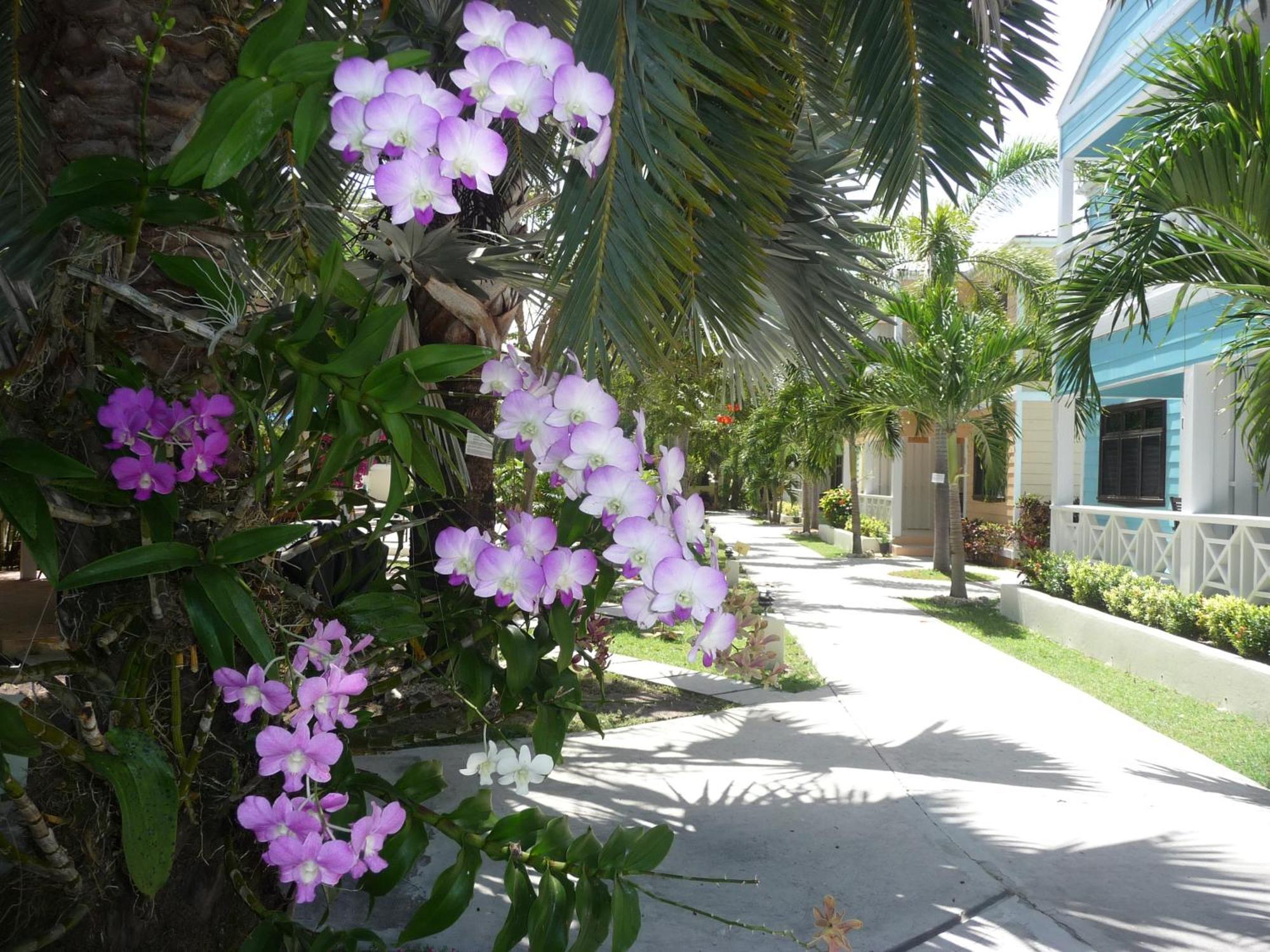 Buccaneer Beach Club Dickenson Bay Luaran gambar
