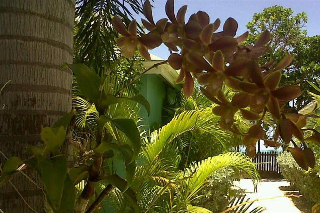 Buccaneer Beach Club Dickenson Bay Luaran gambar