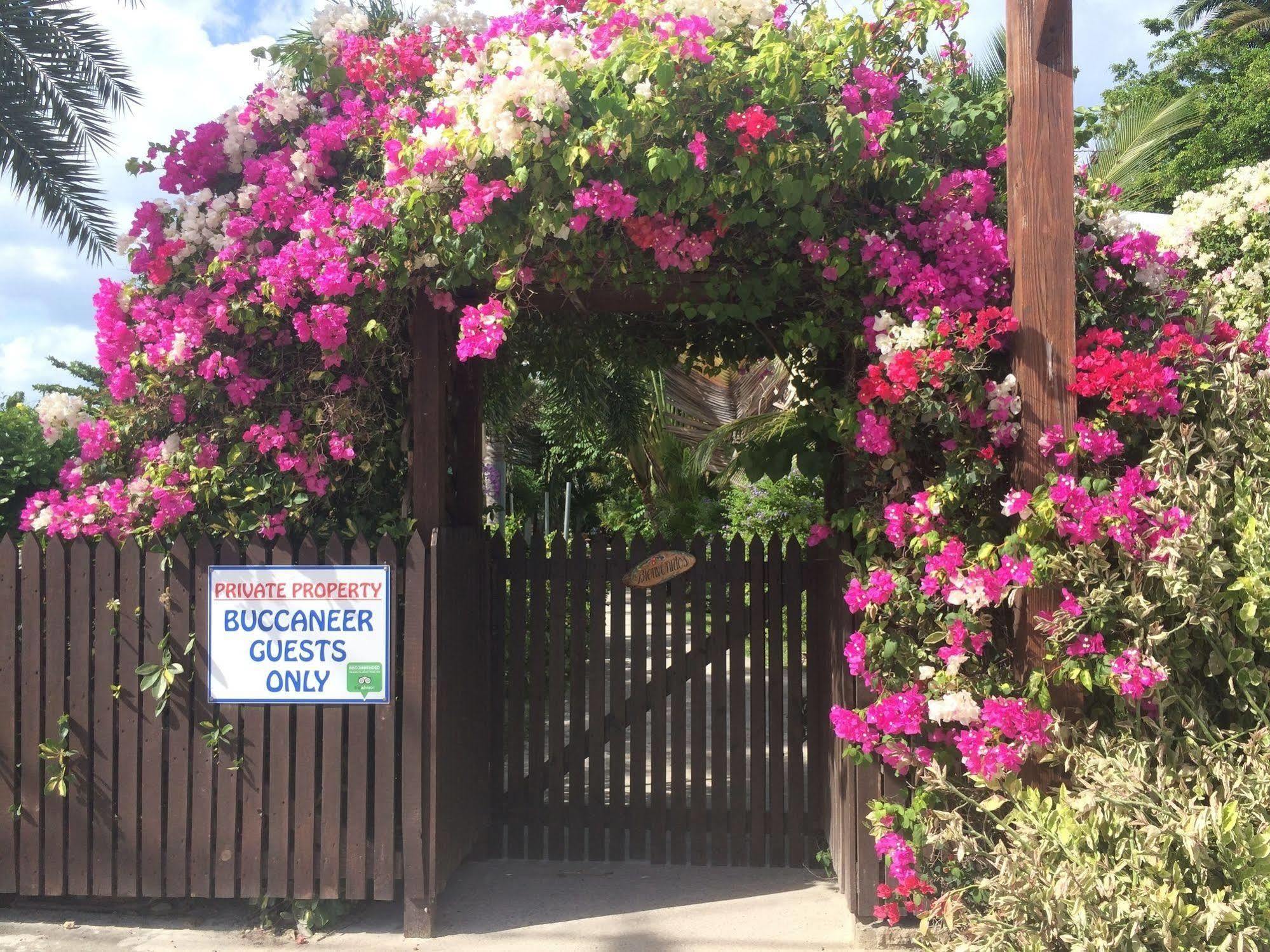 Buccaneer Beach Club Dickenson Bay Luaran gambar